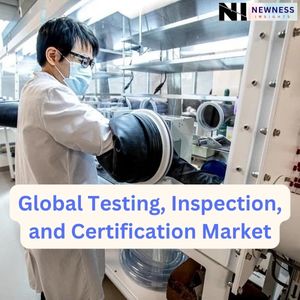 Global Testing, Inspection, and Certification Market