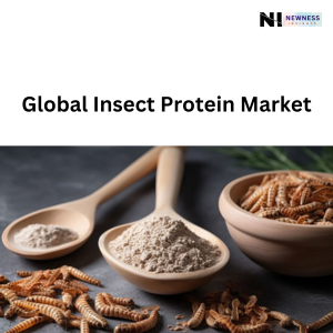 Global Insect Protein Market