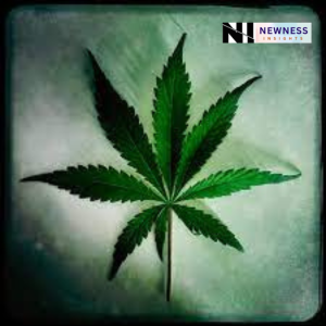 Global Cannabis Market