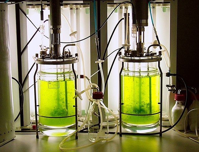 Global Photobioreactors (PBRs) Market Size, Growth, Trends, Forecasts To 2033