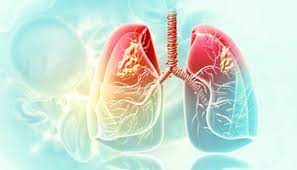 Global Chronic Obstructive Pulmonary Disease Market Size, Share, Forecast 2021 – 2030