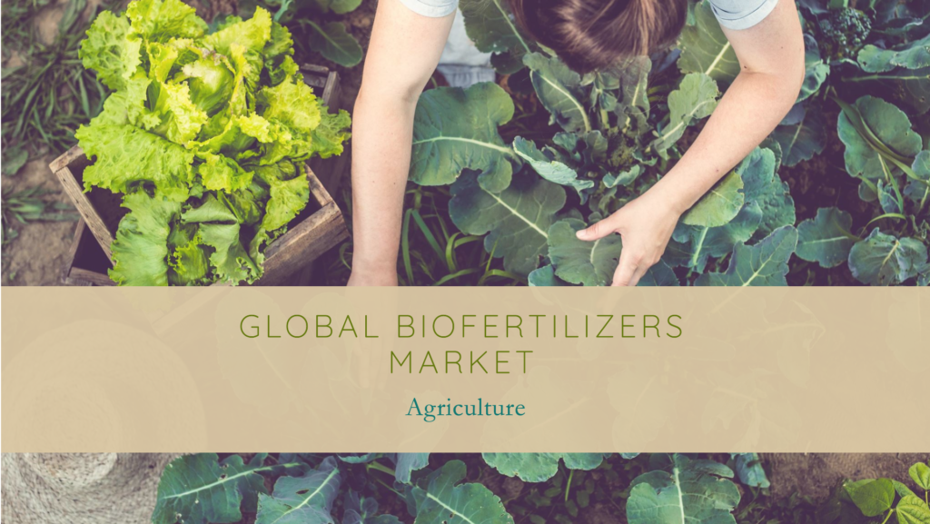 Global Biofertilizers Report 2030: Market Trends & Insights