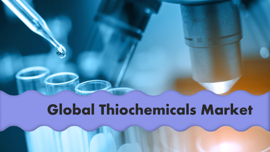 Exploring Key Players Shaping the Global Thiochemicals Market