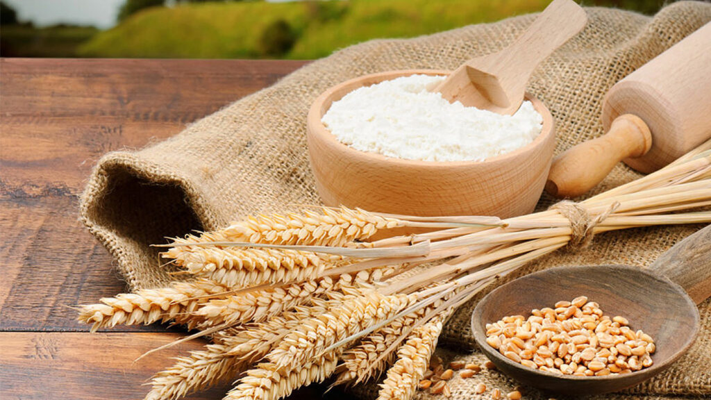 Explore 5 Key Trends Driving the Global Grain Mill Products Market