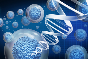 Top 10 Stem Cell Manufacturing Trends in 2024; Explore More With Spherical Insights