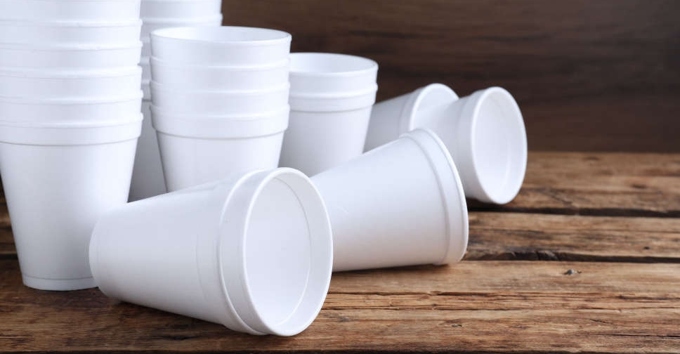 Global Foam Cups Market: Trends, Demand Drivers, and Future Growth Forecast