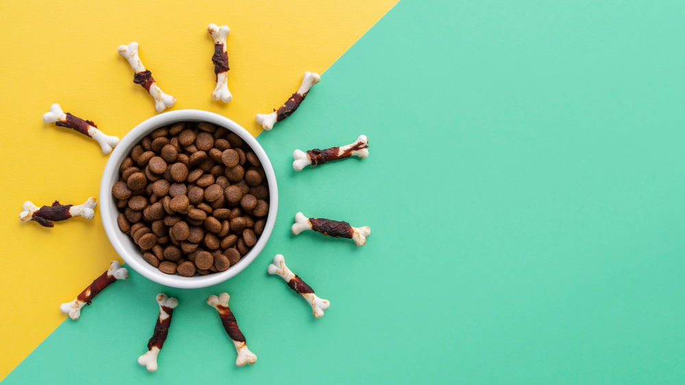 “The Future of China’s Pet Food Industry: Key Insights”