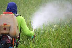 Synthetic vs Bio-Insecticides Market Growth & Forecast 2030