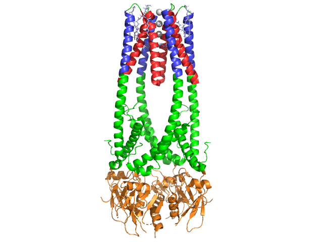 Global Lipase Market Size, Share, Analysis and Forecast 2023 – 2033