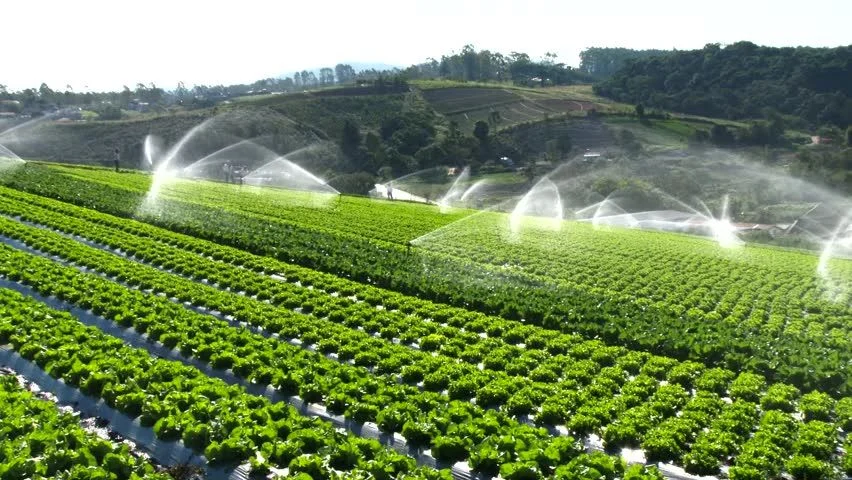 Micro-Irrigation Market Insights by Crop, Region & End User