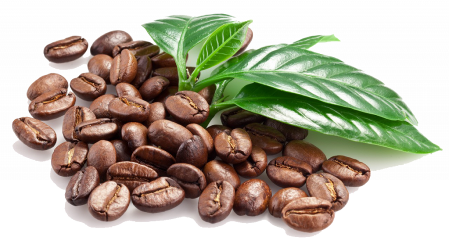 The Australia Coffee Substitute Market: A New Brew for the Health-Conscious