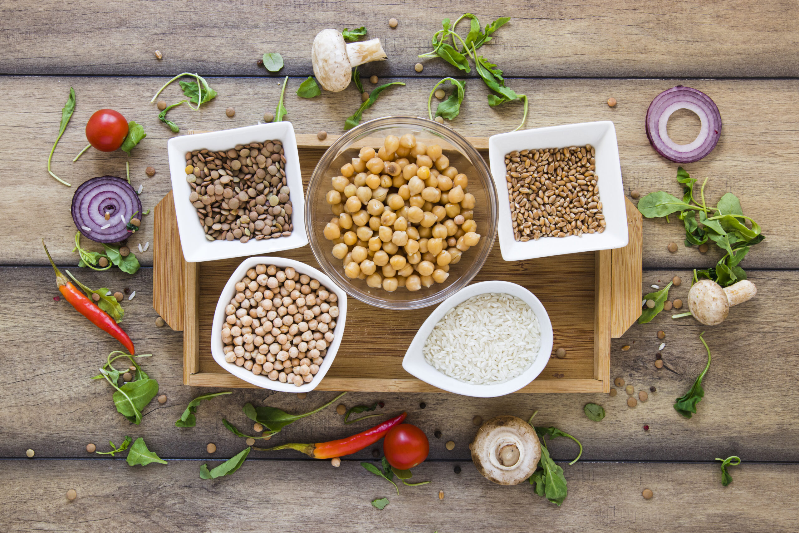 Soy Protein Ingredients