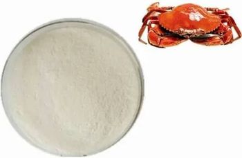 Global Chitosan Market
