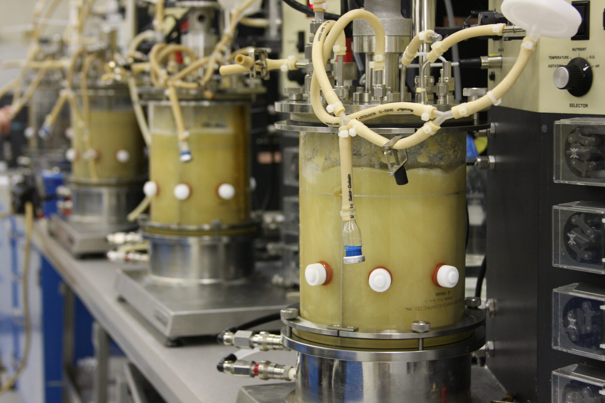 Global Fermentation Chemicals Market